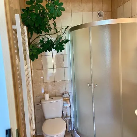 Agroturystyka Pokoje 6 * Barzowice